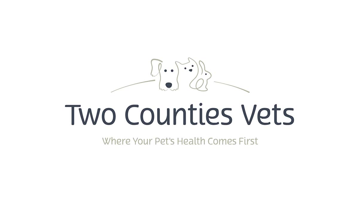 Two Counties Meet the Team | Veterinary & Reception Team at Two Counties Vets